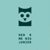 Herr Menig Junior logo. Flat vector illustration of an owl