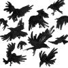 Portland opera ink illustrations crows