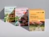 Threes boxes of packaging design for "Pure Tea" in the flavors Namira, Hayato and Bongani, arranged in front of each other in bright pastel colors. All boxes feature an illustrated scenic landscape with theme related to its flavor, showcasing green hills, trees, traditional architecture, mountains, and fauna in the foreground in a flat vector illustration style