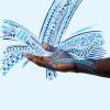 Water org illustrations africa